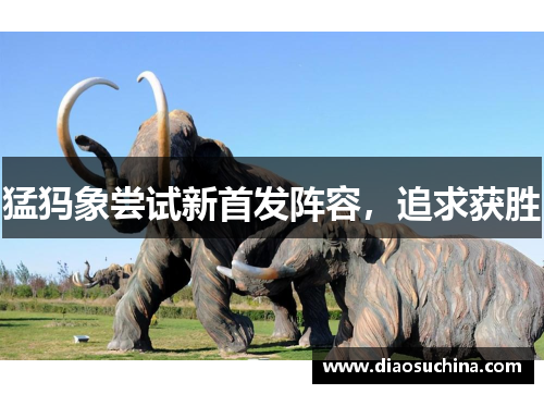 猛犸象尝试新首发阵容，追求获胜