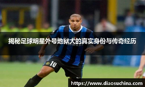 揭秘足球明星外号地狱犬的真实身份与传奇经历